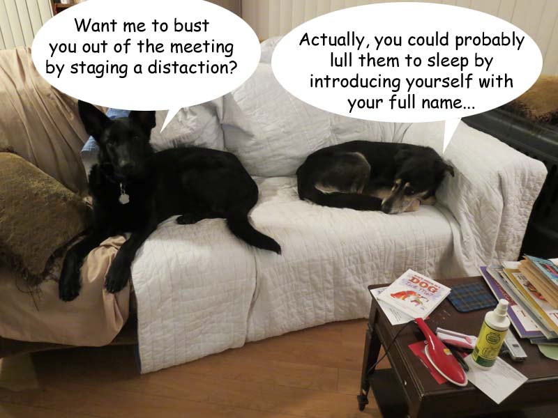 meeting.jpg