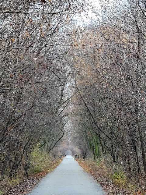 Eisenbahn.jpg